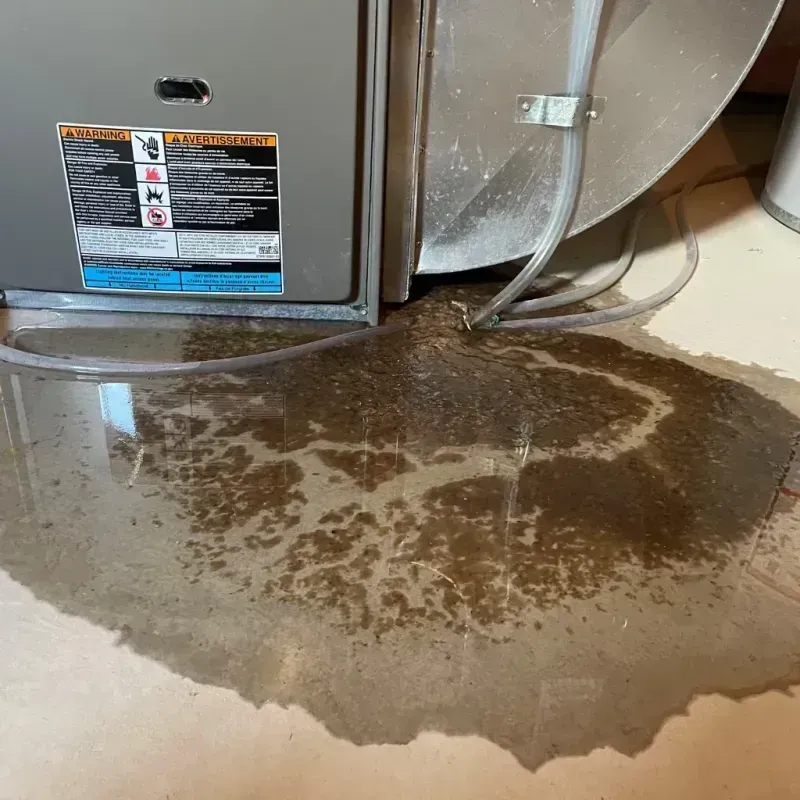 Appliance Leak Cleanup in Wewoka, OK